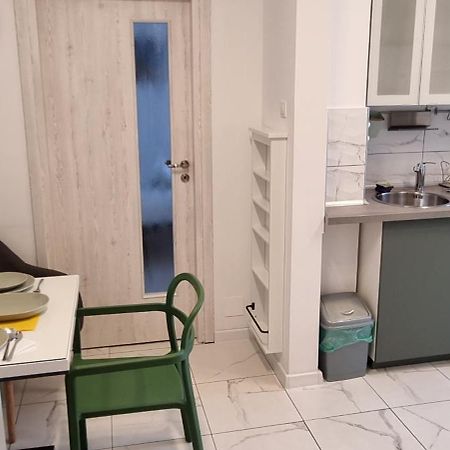 Elisabeta Studio Apartment 布加勒斯特 外观 照片